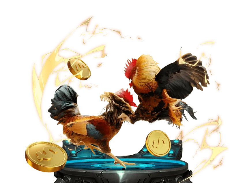 Hướng dẫn cá cược thể thao Vina Hello88 Vina